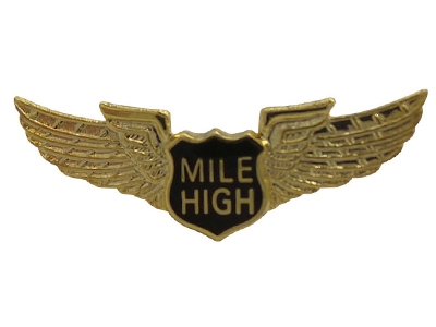 Altın Kaplama Rozet  SRY-56698